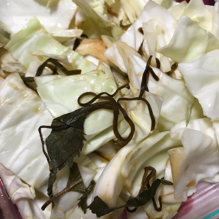 大量消費 キャベツと大葉の酢の物 レシピ 作り方 By ユナミ 楽天レシピ 大量消費 キャベツと大葉の酢の物 レシピ 作り方 By ユナミ 楽天レシピ